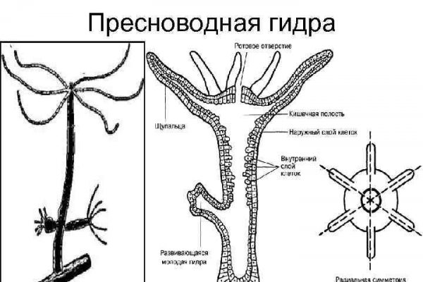 Мега площадка мориарти