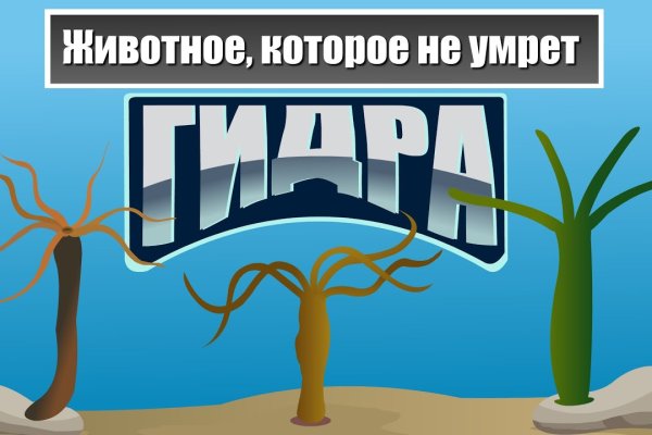 Владелец мега даркнет