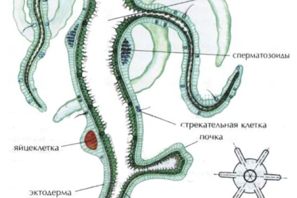 Mega ссылка на сайт официальный