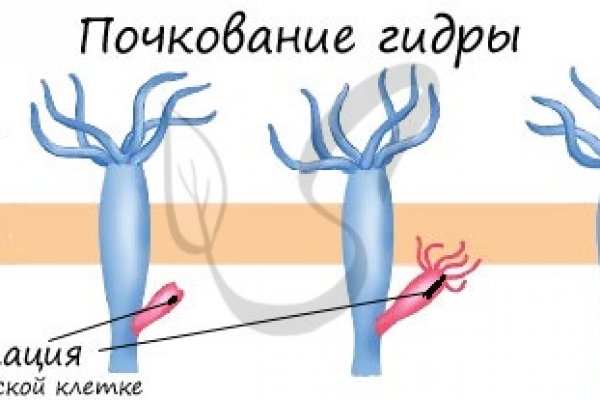 Мега ссылка на площадку