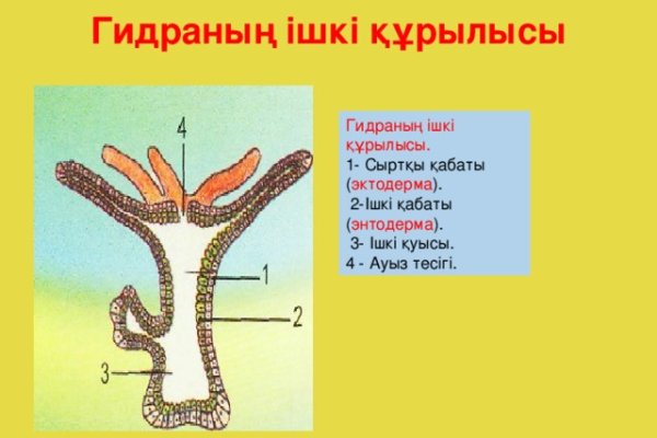 Мега площадка