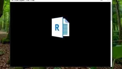 Photo of — Как открыть файл DOCX?